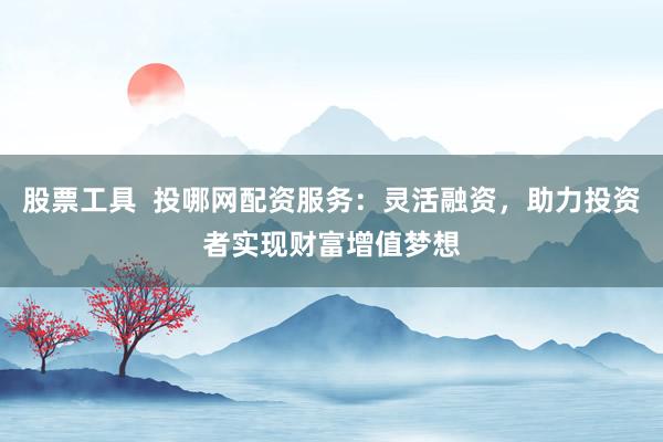 股票工具  投哪网配资服务：灵活融资，助力投资者实现财富增值梦想