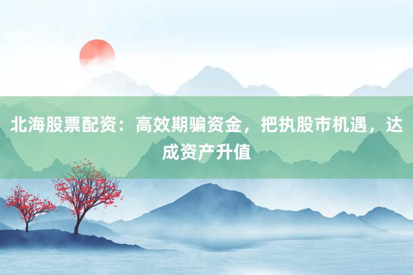 北海股票配资：高效期骗资金，把执股市机遇，达成资产升值
