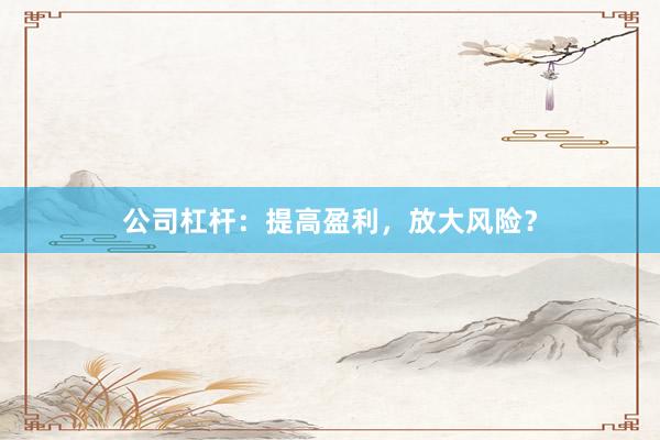公司杠杆：提高盈利，放大风险？