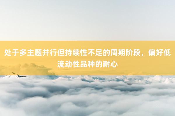 处于多主题并行但持续性不足的周期阶段，偏好低流动性品种的耐心