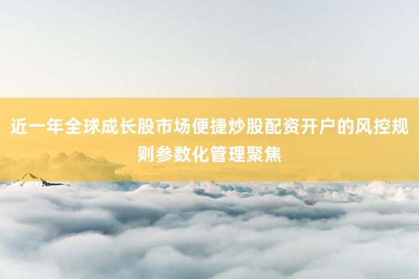 近一年全球成长股市场便捷炒股配资开户的风控规则参数化管理聚焦