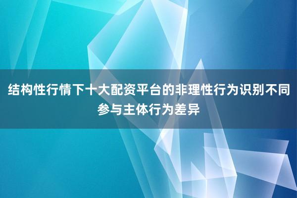 结构性行情下十大配资平台的非理性行为识别不同参与主体行为差异