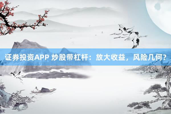 证券投资APP 炒股带杠杆：放大收益，风险几何？